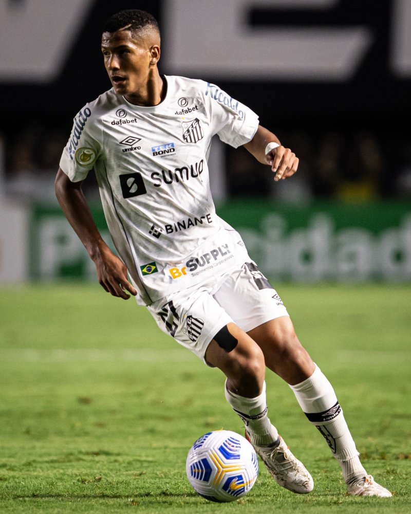 手段多样 手段多样